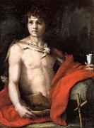 Andrea del Sarto The Young St.John oil